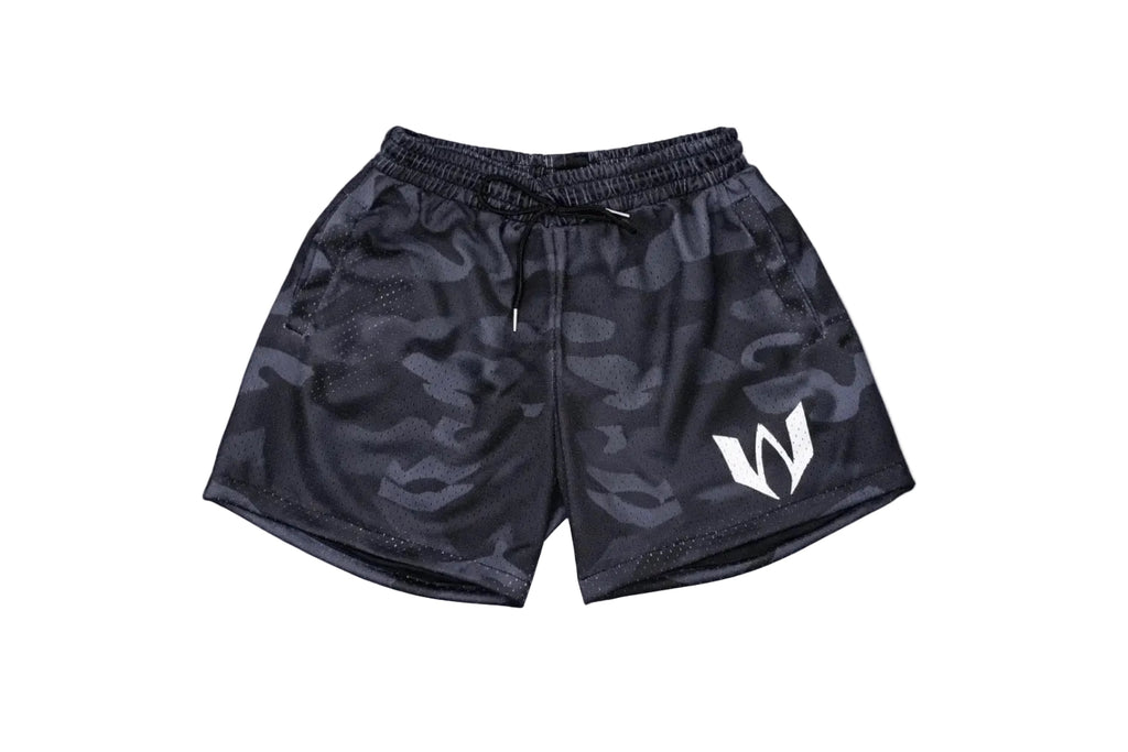 Mesh Training Shorts