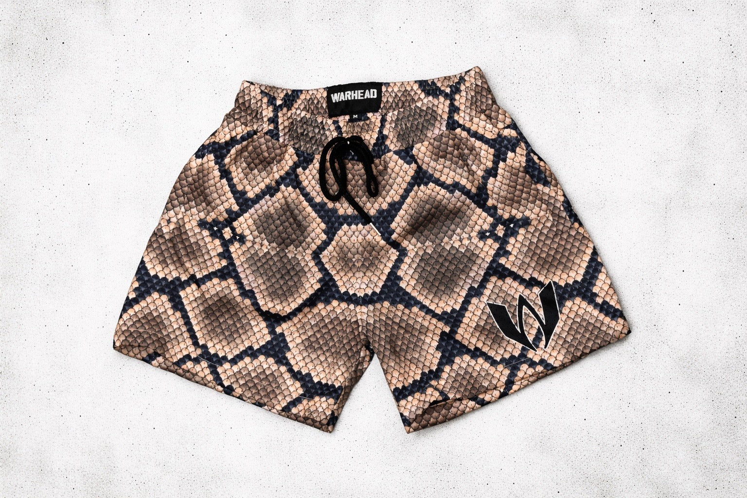 Mesh Training Shorts