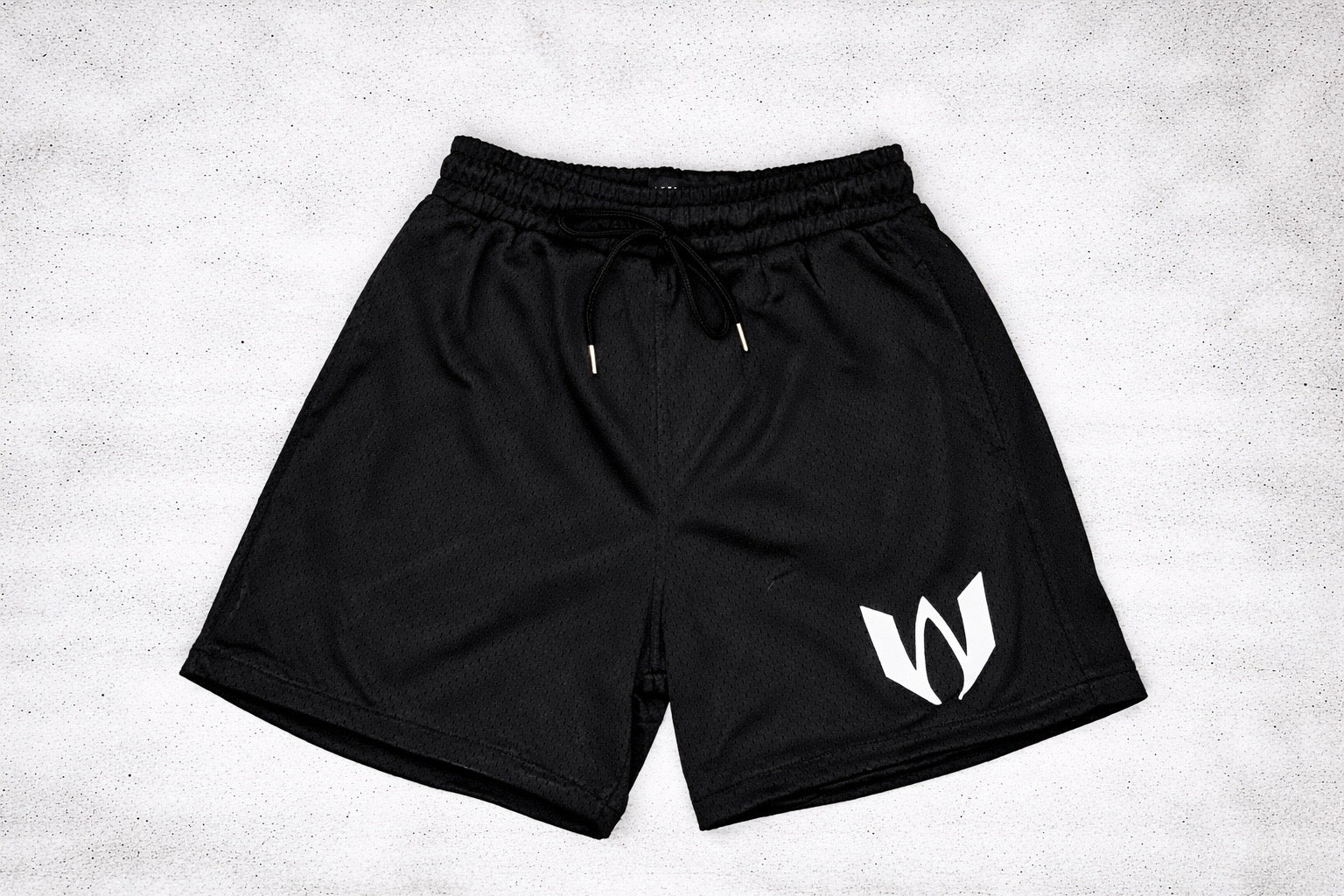 Mesh Training Shorts