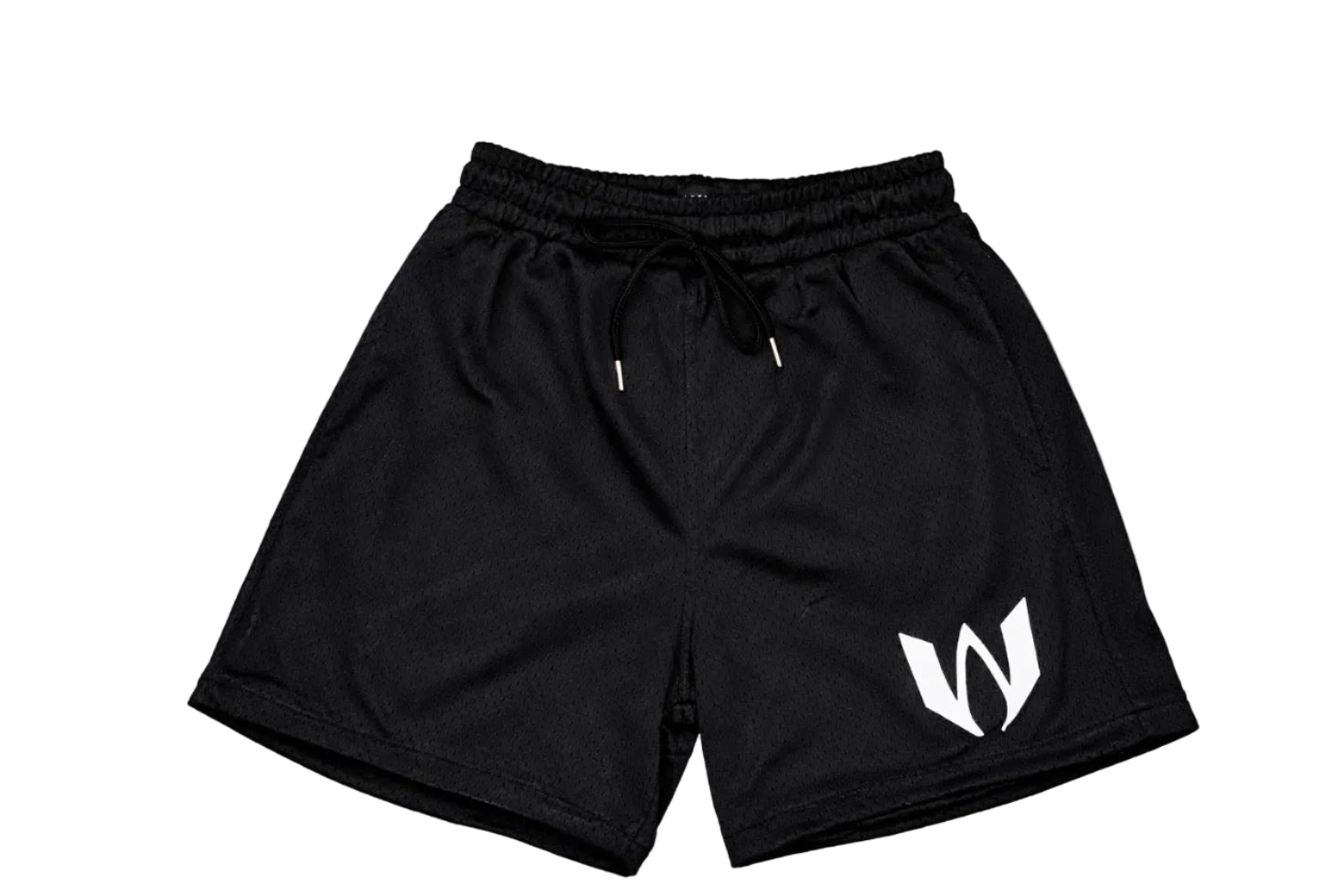 Mesh Training Shorts